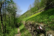 Anello del Pizzo di Spino il 21 aprile 2015  - FOTOGALLERY